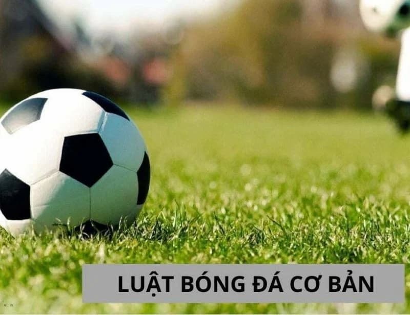 Tất Cả Các Luật Trong Bóng Đá Cơ Bản Nhất Cần Nắm Vững 2 Tổng hợp tất cả luật trong bóng đá cơ bản